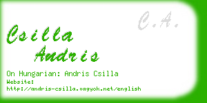 csilla andris business card